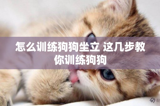 怎么訓練狗狗坐立 這幾步教你訓練狗狗