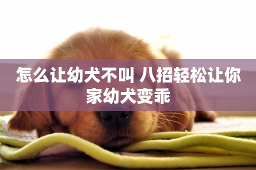 怎么讓幼犬不叫 八招輕松讓你家幼犬變乖