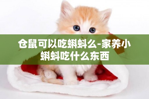 倉鼠可以吃蝌蚪么-家養小蝌蚪吃什么東西
