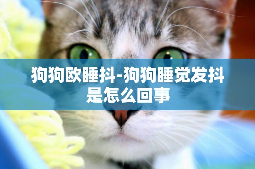 狗狗歐睡抖-狗狗睡覺發抖是怎么回事