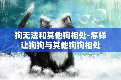狗無法和其他狗相處-怎樣讓狗狗與其他狗狗相處
