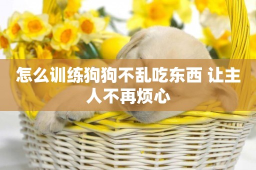 怎么訓練狗狗不亂吃東西 讓主人不再煩心
