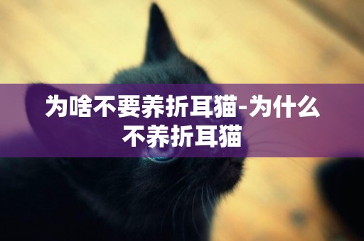 為啥不要養折耳貓-為什么不養折耳貓