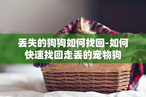 丟失的狗狗如何找回-如何快速找回走丟的寵物狗