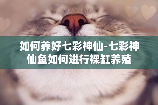 如何養好七彩神仙-七彩神仙魚如何進行裸缸養殖