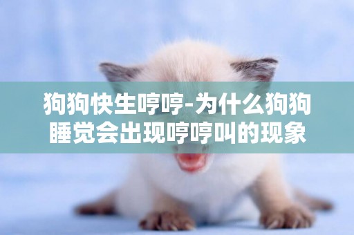 狗狗快生哼哼-為什么狗狗睡覺會出現哼哼叫的現象