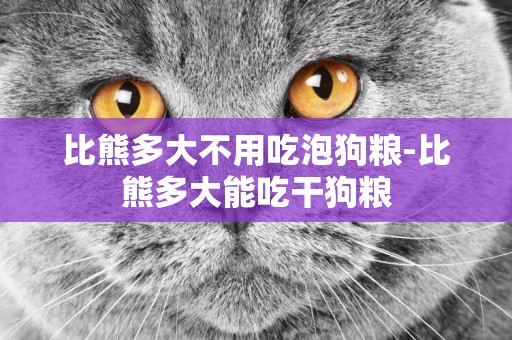 比熊多大不用吃泡狗糧-比熊多大能吃干狗糧
