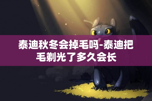 泰迪秋冬會掉毛嗎-泰迪把毛剃光了多久會長
