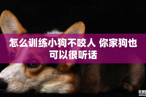 怎么訓練小狗不咬人 你家狗也可以很聽話