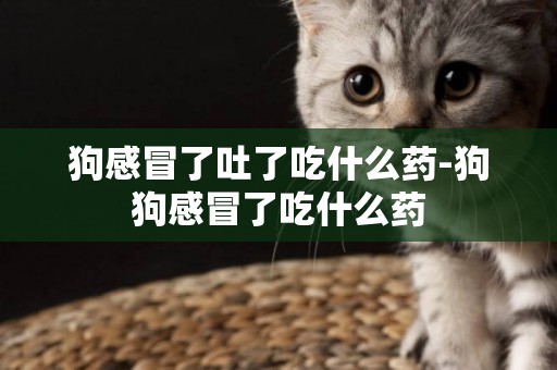 狗感冒了吐了吃什么藥-狗狗感冒了吃什么藥