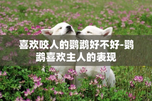 喜歡咬人的鸚鵡好不好-鸚鵡喜歡主人的表現