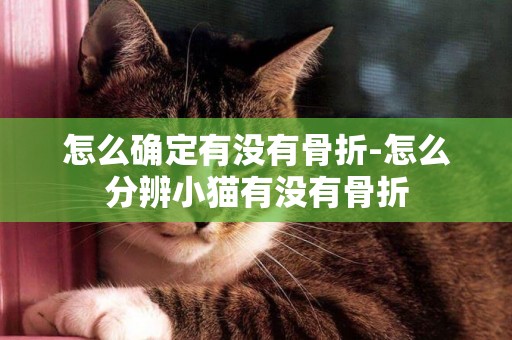 怎么確定有沒有骨折-怎么分辨小貓有沒有骨折