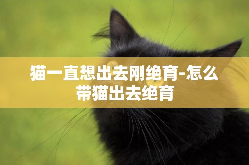 貓一直想出去剛絕育-怎么帶貓出去絕育