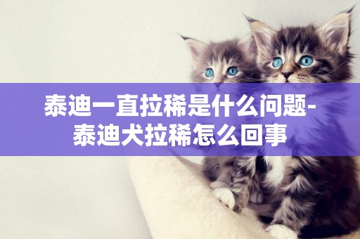 泰迪一直拉稀是什么問題-泰迪犬拉稀怎么回事