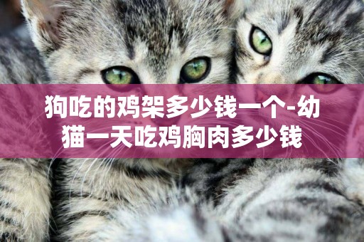 狗吃的雞架多少錢一個-幼貓一天吃雞胸肉多少錢