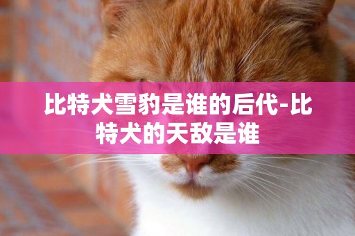 比特犬雪豹是誰的后代-比特犬的天敵是誰