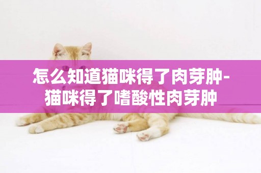 怎么知道貓咪得了肉芽腫-貓咪得了嗜酸性肉芽腫