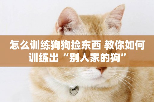 怎么訓練狗狗撿東西 教你如何訓練出“別人家的狗”