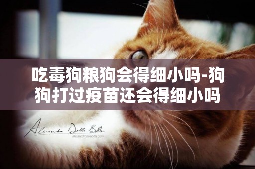 吃毒狗糧狗會得細小嗎-狗狗打過疫苗還會得細小嗎