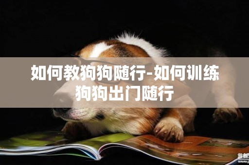 如何教狗狗隨行-如何訓練狗狗出門隨行