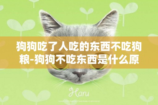 狗狗吃了人吃的東西不吃狗糧-狗狗不吃東西是什么原因