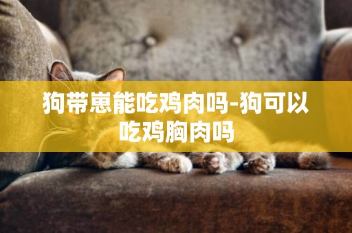 狗帶崽能吃雞肉嗎-狗可以吃雞胸肉嗎