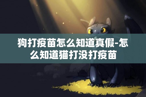 狗打疫苗怎么知道真假-怎么知道貓打沒打疫苗