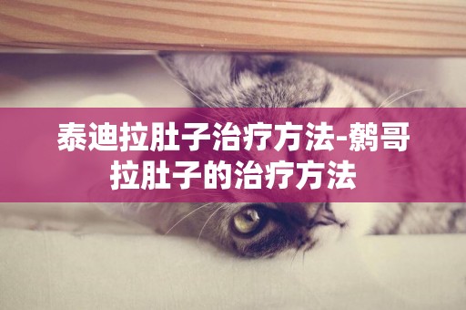 泰迪拉肚子治療方法-鷯哥拉肚子的治療方法