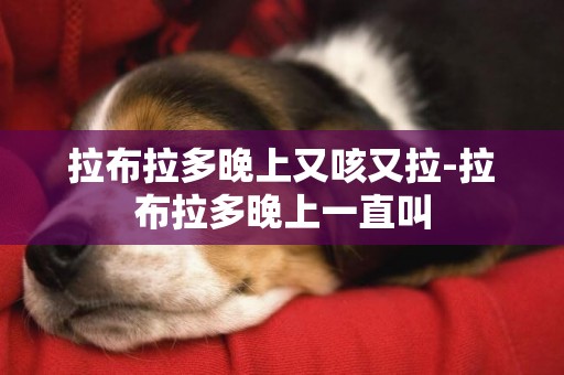 拉布拉多晚上又咳又拉-拉布拉多晚上一直叫