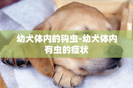 幼犬體內的鉤蟲-幼犬體內有蟲的癥狀