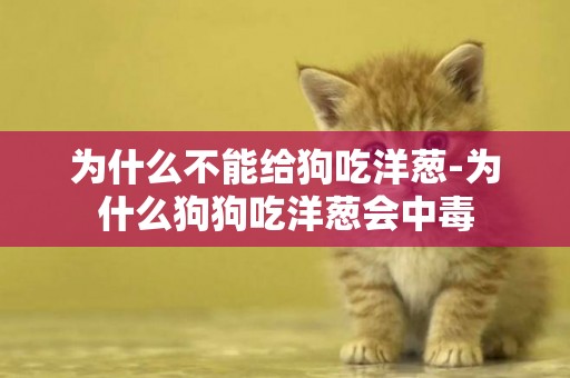 為什么不能給狗吃洋蔥-為什么狗狗吃洋蔥會中毒