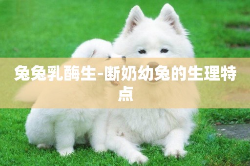 兔兔乳酶生-斷奶幼兔的生理特點
