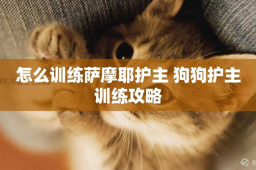 怎么訓練薩摩耶護主 狗狗護主訓練攻略