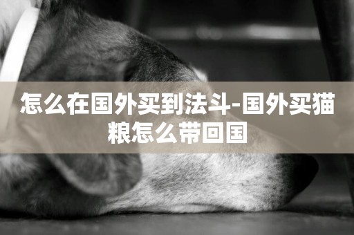 怎么在國外買到法斗-國外買貓糧怎么帶回國