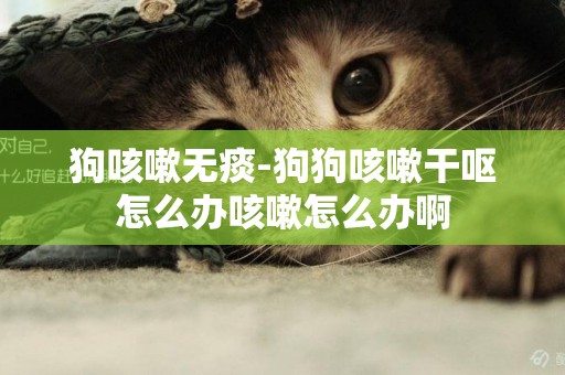 狗咳嗽無痰-狗狗咳嗽干嘔怎么辦咳嗽怎么辦啊