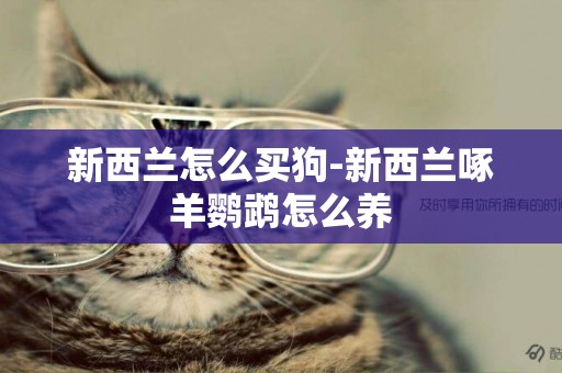 新西蘭怎么買狗-新西蘭啄羊鸚鵡怎么養