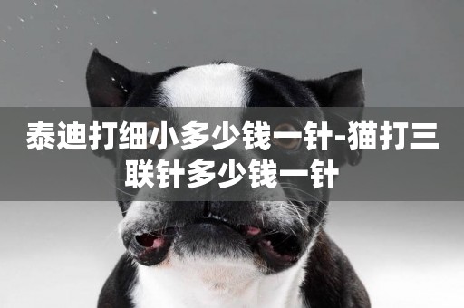 泰迪打細小多少錢一針-貓打三聯針多少錢一針