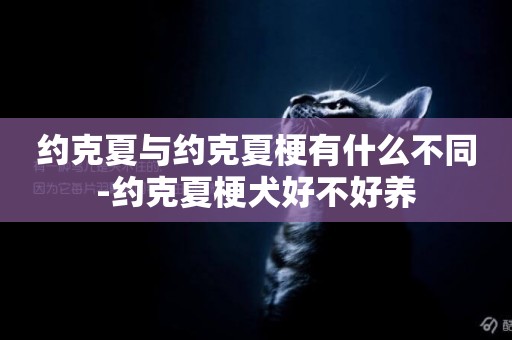 約克夏與約克夏梗有什么不同-約克夏梗犬好不好養
