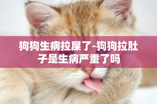 狗狗生病拉屎了-狗狗拉肚子是生病嚴重了嗎
