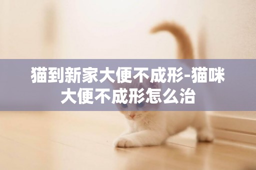貓到新家大便不成形-貓咪大便不成形怎么治