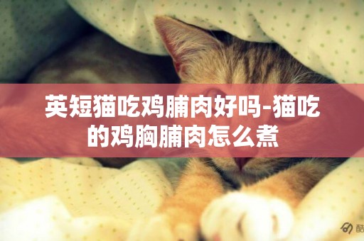 英短貓吃雞脯肉好嗎-貓吃的雞胸脯肉怎么煮