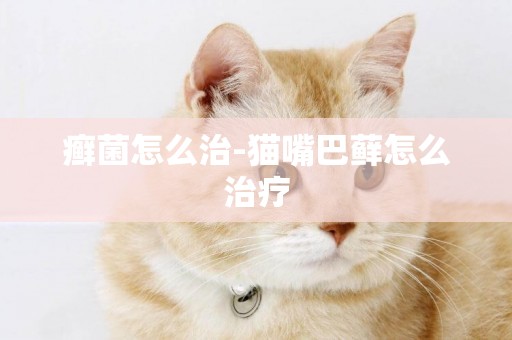 癬菌怎么治-貓嘴巴蘚怎么治療