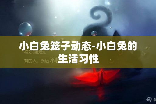 小白兔籠子動態-小白兔的生活習性