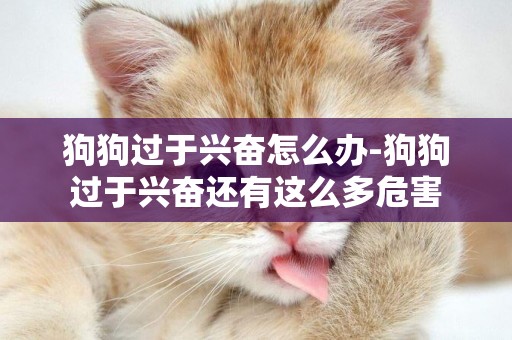 狗狗過于興奮怎么辦-狗狗過于興奮還有這么多危害