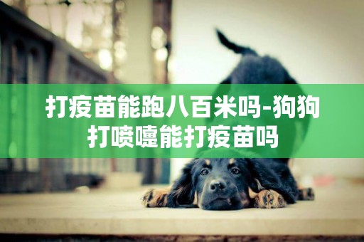 打疫苗能跑八百米嗎-狗狗打噴嚏能打疫苗嗎