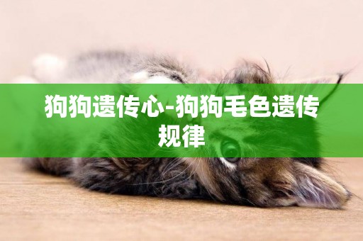 狗狗遺傳心-狗狗毛色遺傳規律