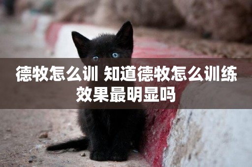 德牧怎么訓 知道德牧怎么訓練效果最明顯嗎