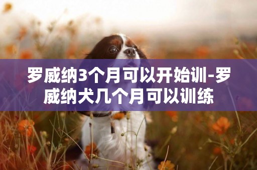 羅威納3個月可以開始訓-羅威納犬幾個月可以訓練