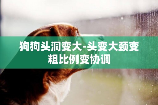 狗狗頭洞變大-頭變大頸變粗比例變協調