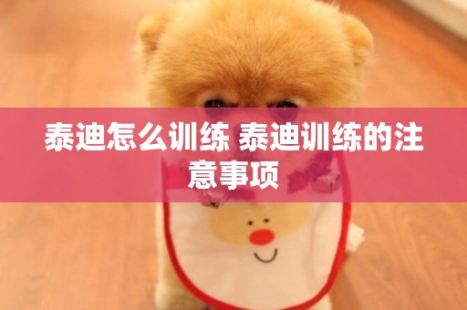 泰迪怎么訓練 泰迪訓練的注意事項
